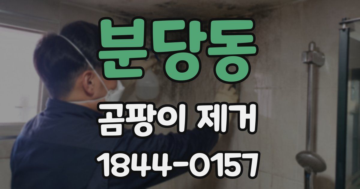 분당동 곰팡이 제거
