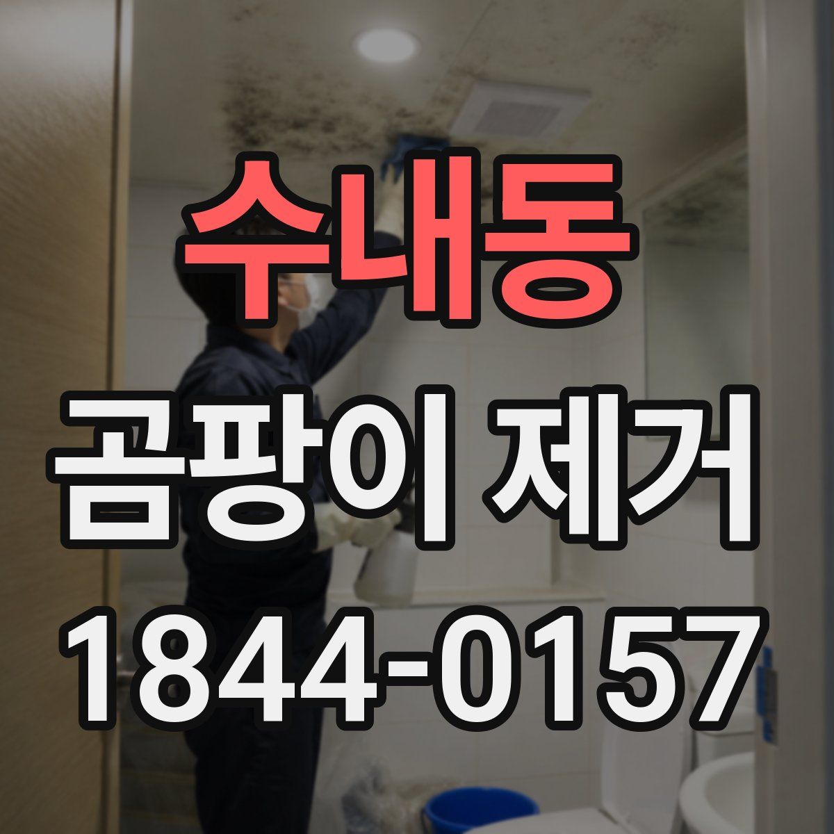 수내동 곰팡이 제거