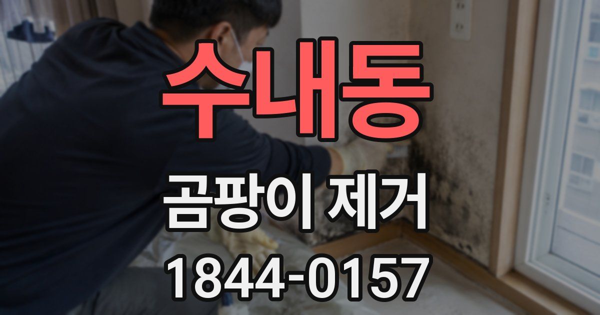 수내동 곰팡이 제거