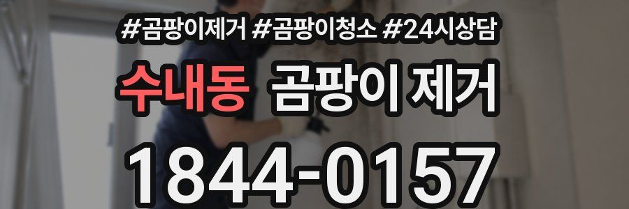 수내동 곰팡이 제거
