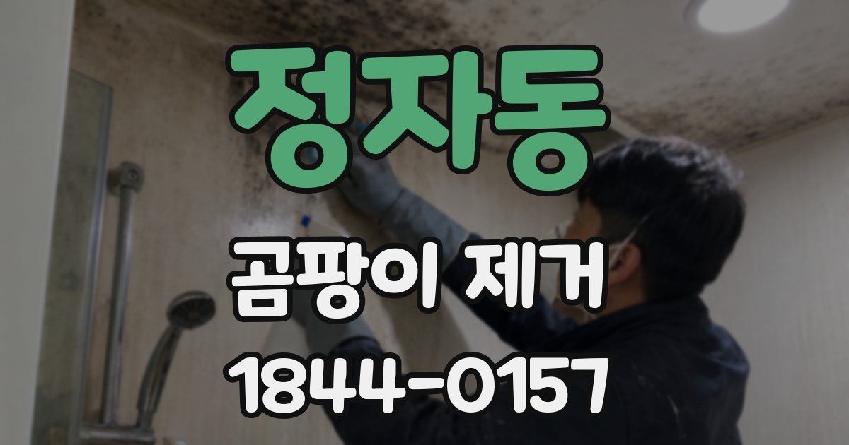 정자동 곰팡이 제거