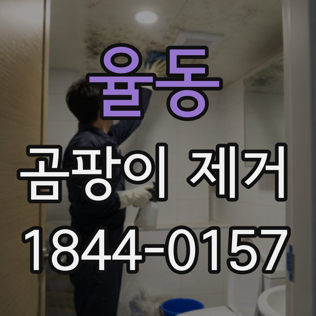 율동 곰팡이 제거