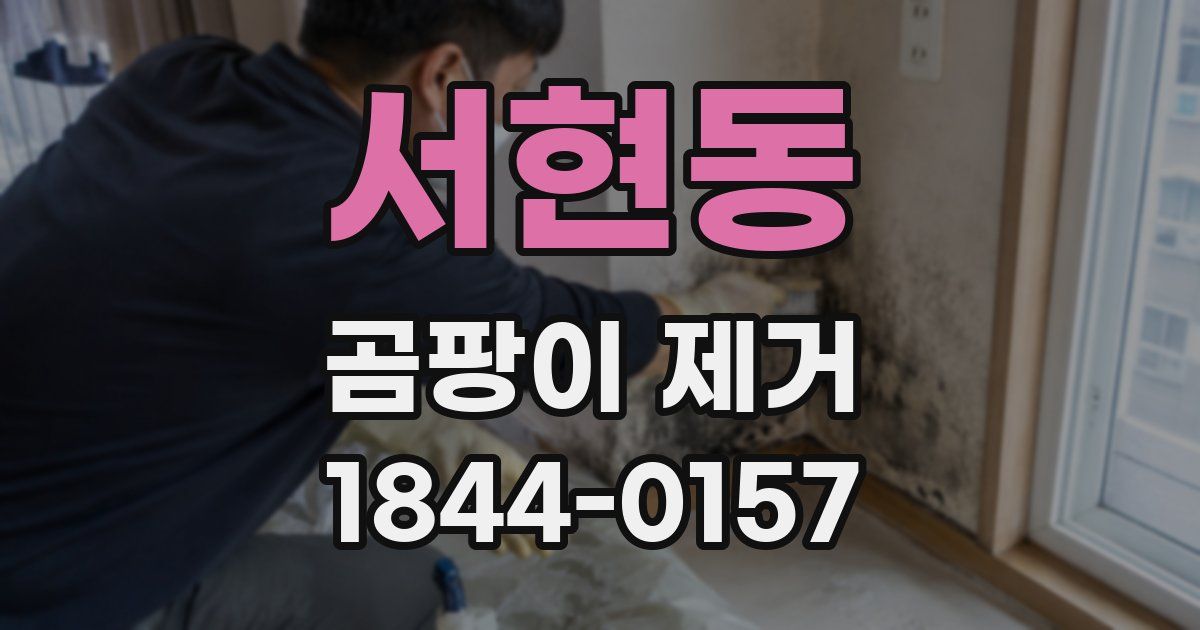 서현동 곰팡이 제거