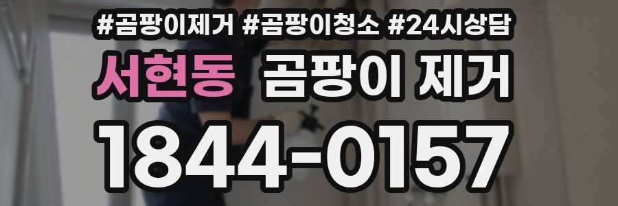 서현동 곰팡이 제거