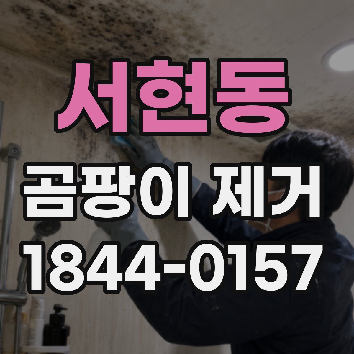 서현동 곰팡이 제거