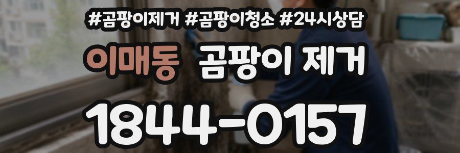이매동 곰팡이 제거