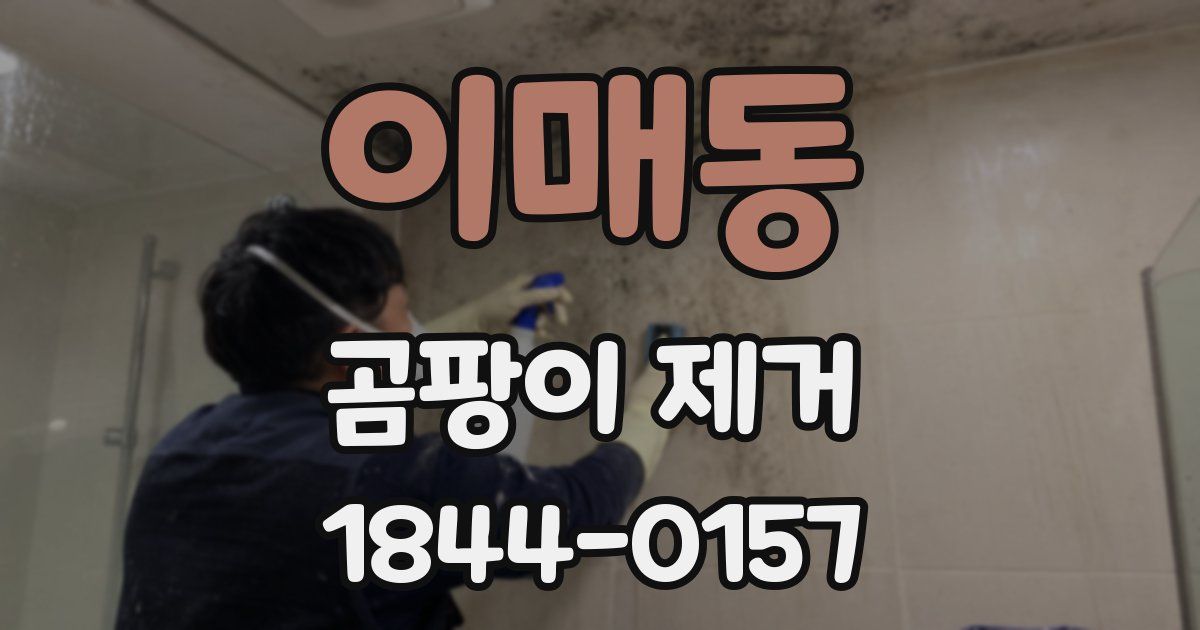 이매동 곰팡이 제거