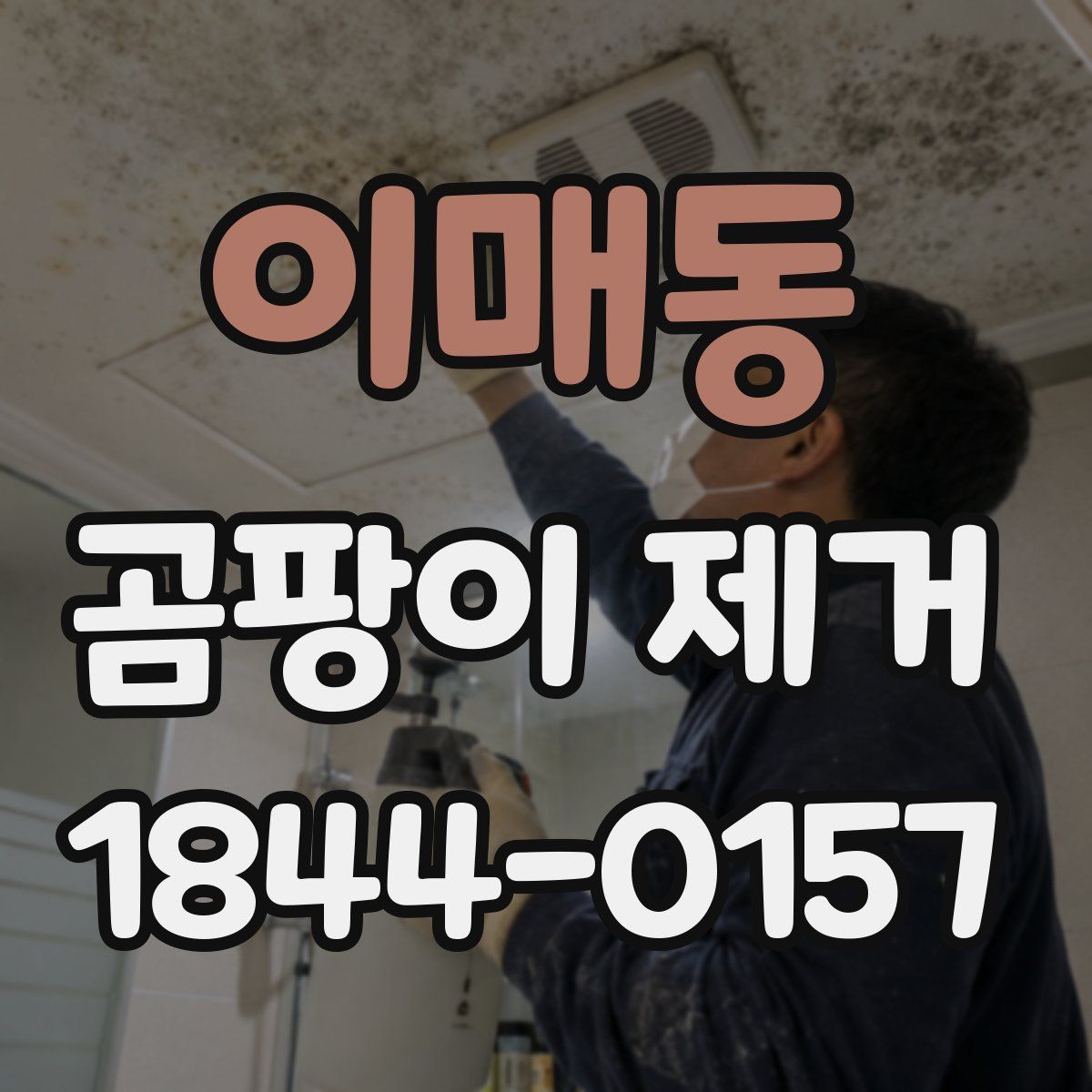 이매동 곰팡이 제거