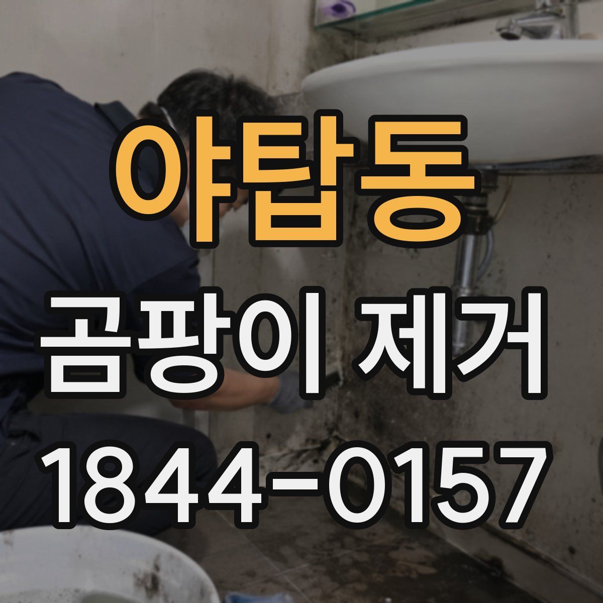 야탑동 곰팡이 제거