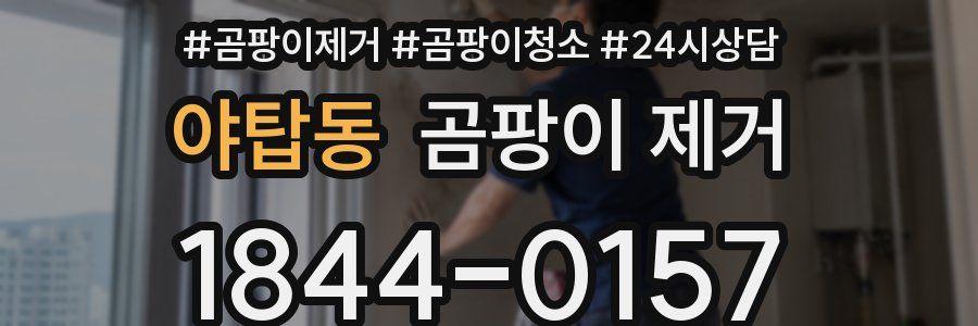 야탑동 곰팡이 제거