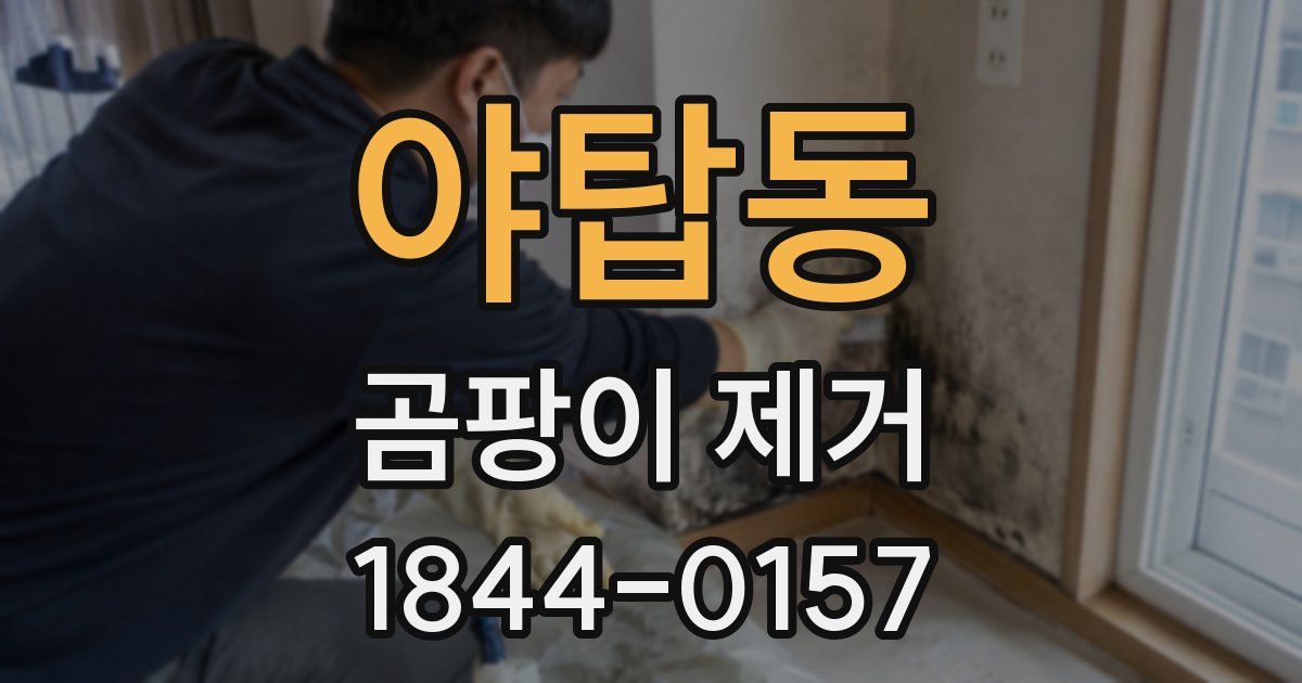 야탑동 곰팡이 제거