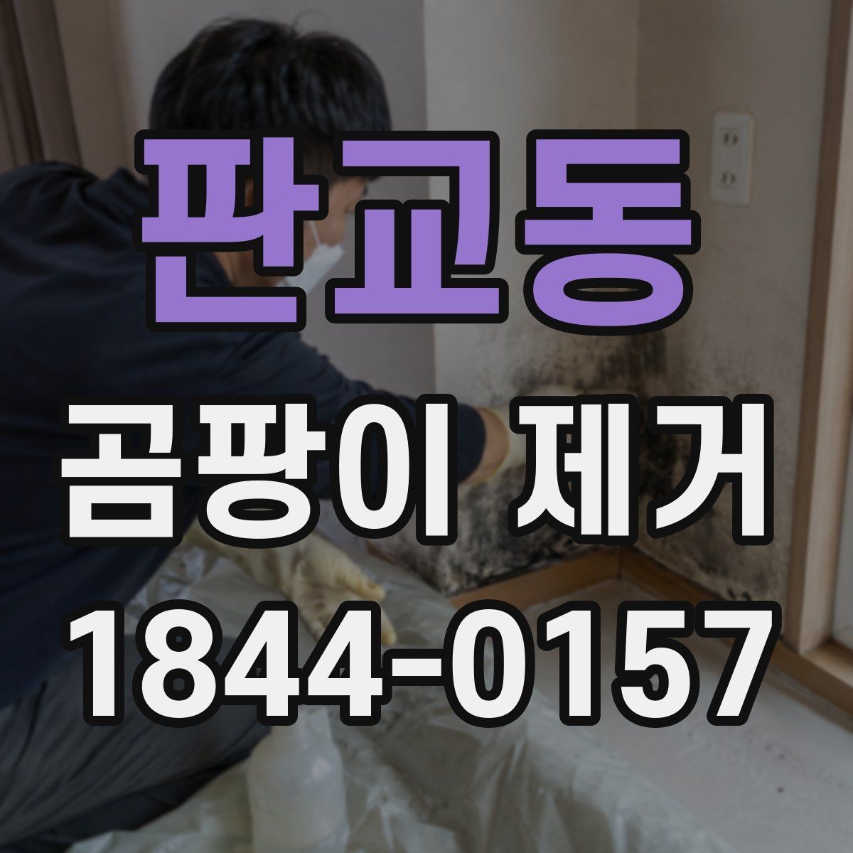 판교동 곰팡이 제거 천장과 코너부에 남는 흔적 확인법