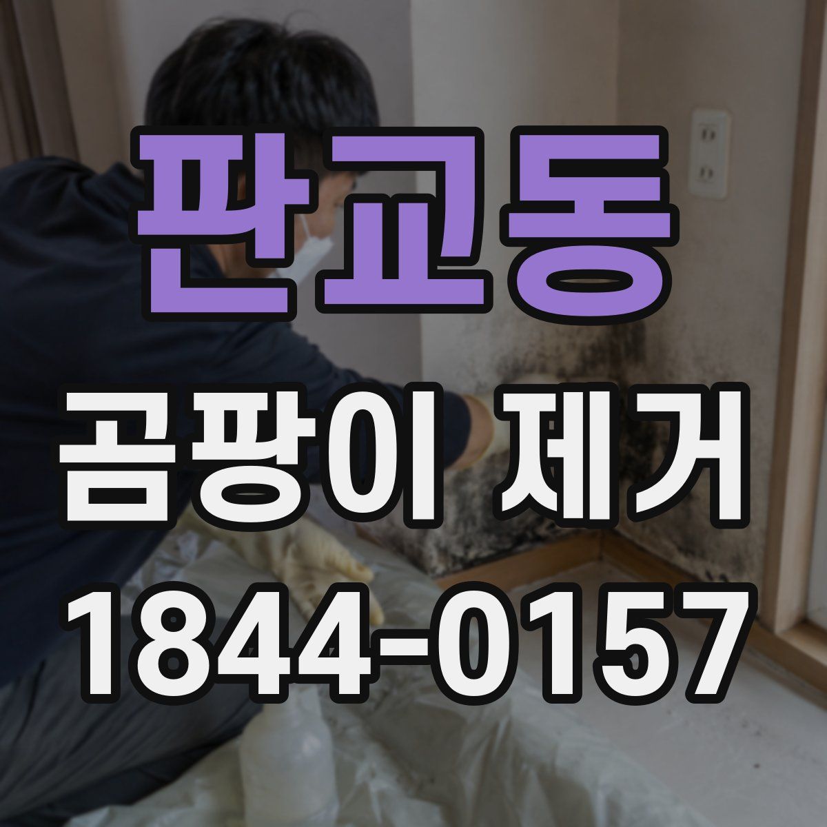 판교동 곰팡이 제거
