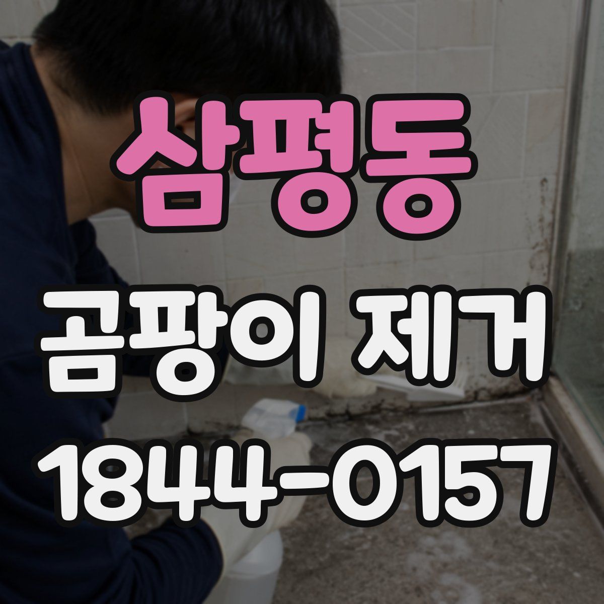 삼평동 곰팡이 제거
