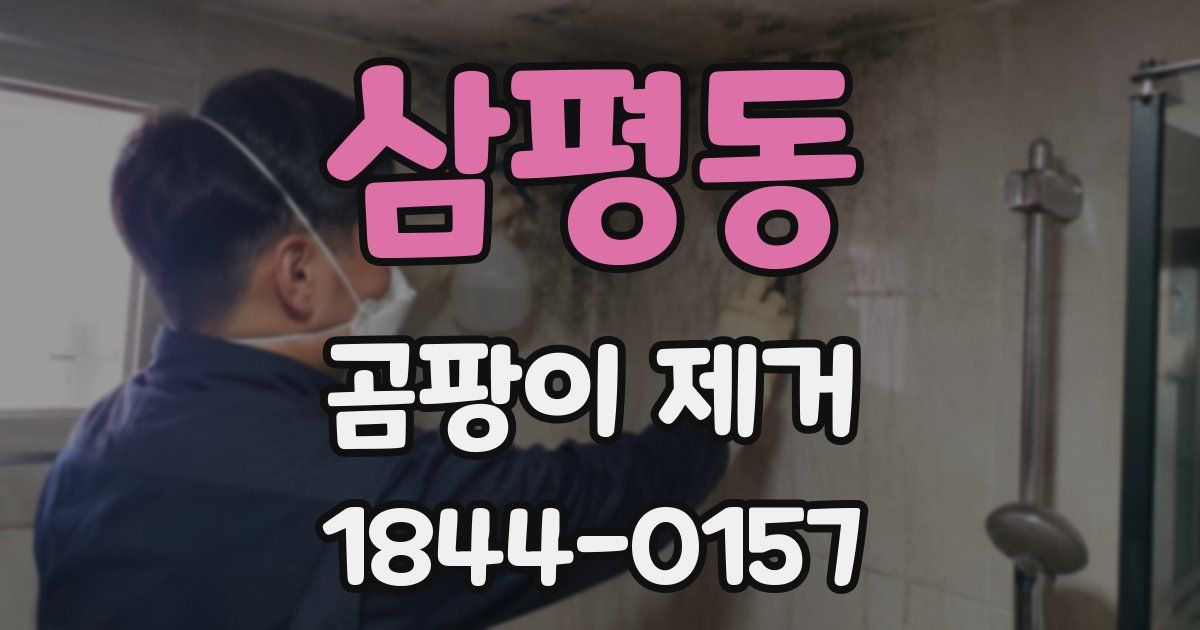 삼평동 곰팡이 제거