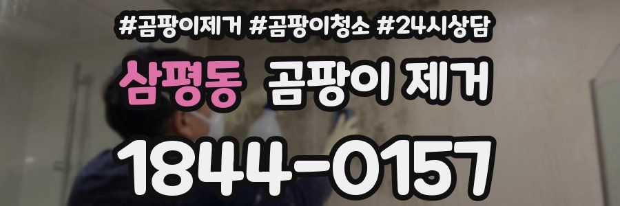 삼평동 곰팡이 제거