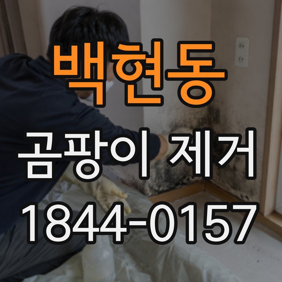 백현동 곰팡이 제거 습도가 높아질 때 나타나는 초기 신호