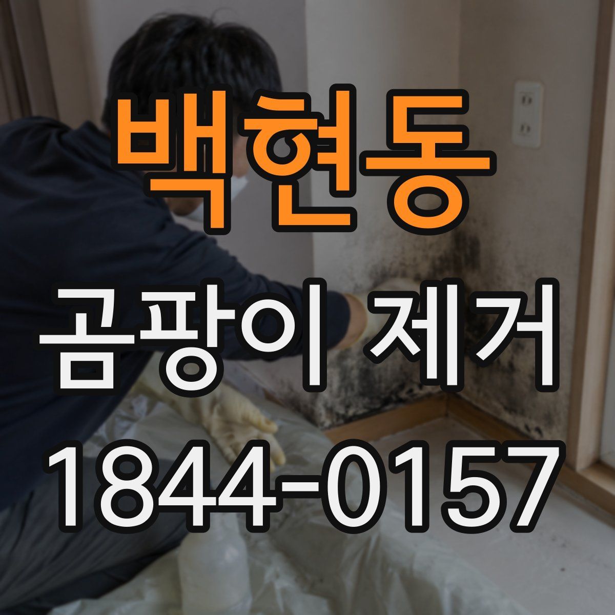 백현동 곰팡이 제거