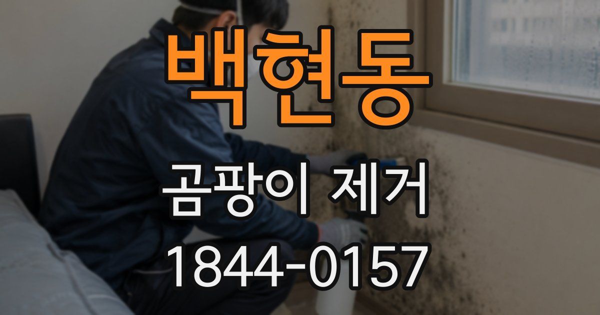 백현동 곰팡이 제거