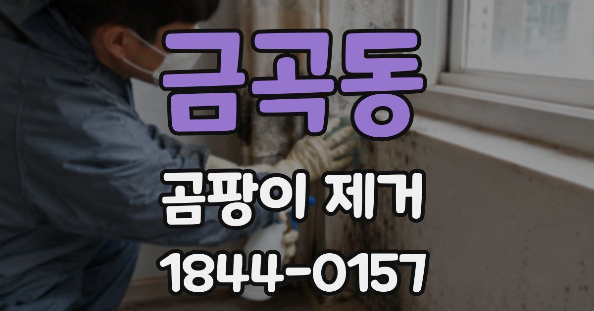 금곡동 곰팡이 제거
