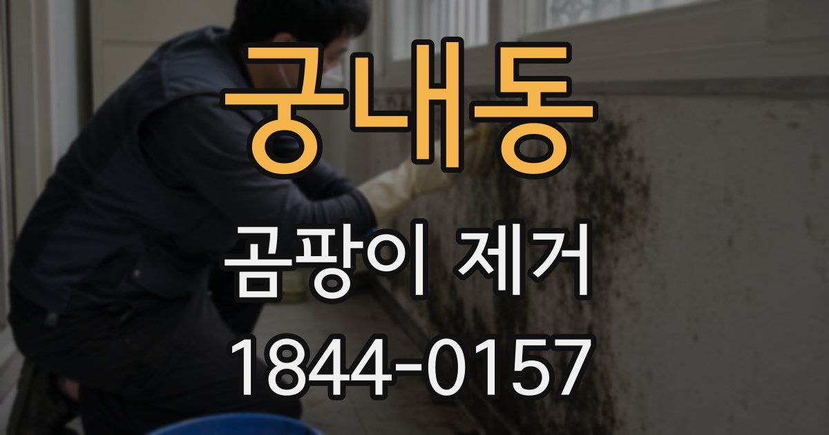 궁내동 곰팡이 제거