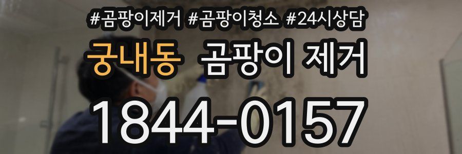 궁내동 곰팡이 제거