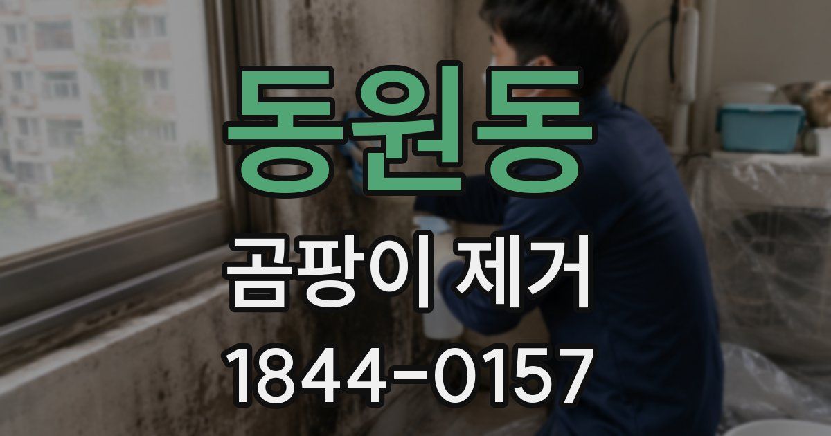 동원동 곰팡이 제거