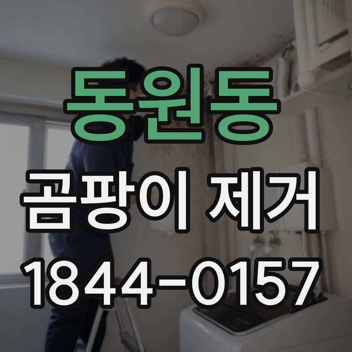 동원동 곰팡이 제거