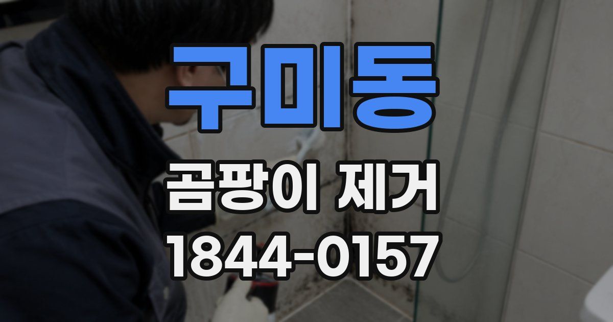 구미동 곰팡이 제거