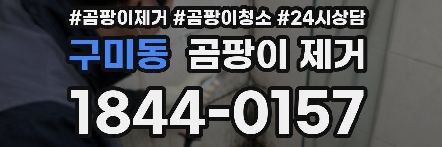 구미동 곰팡이 제거
