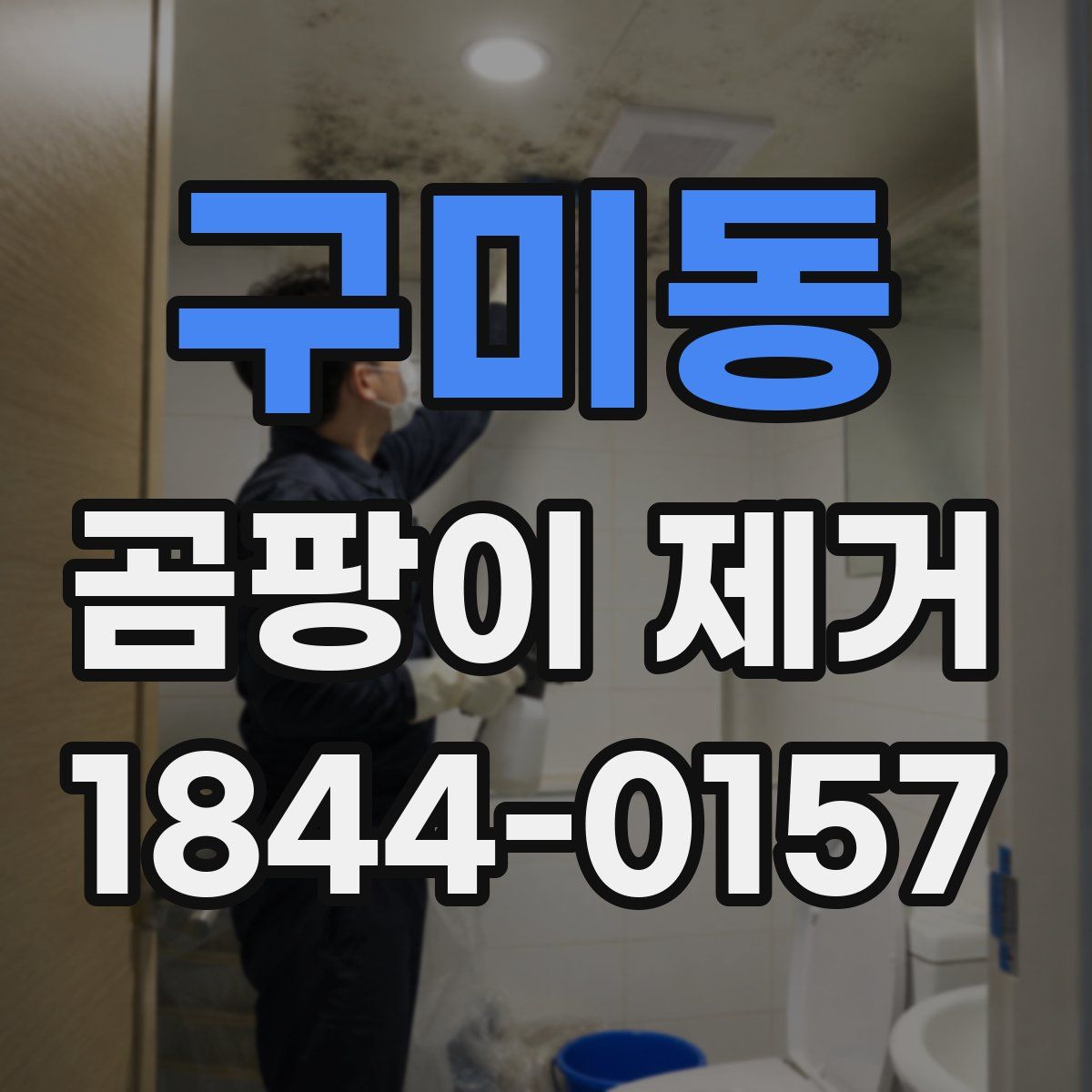 구미동 곰팡이 제거