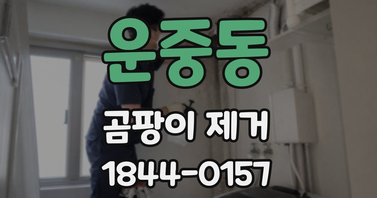 운중동 곰팡이 제거