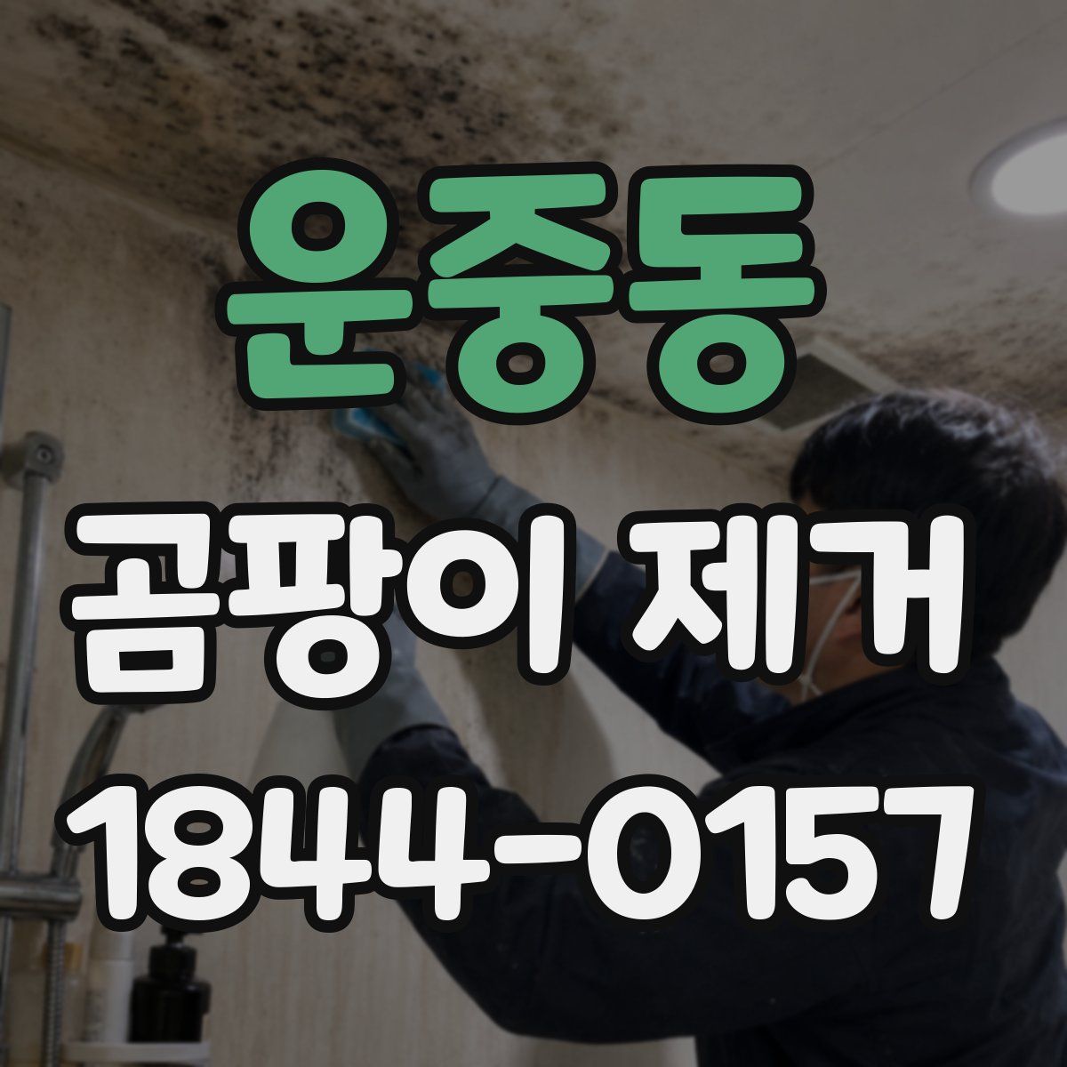 운중동 곰팡이 제거