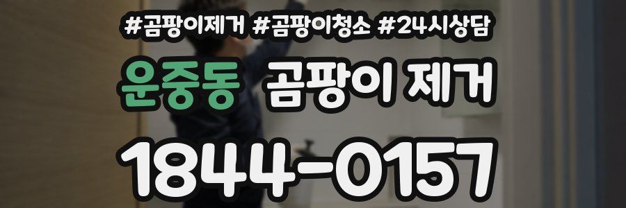 운중동 곰팡이 제거