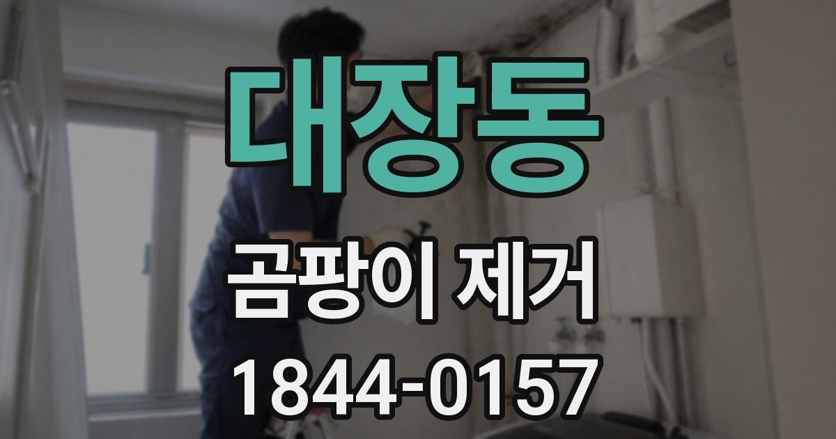 대장동 곰팡이 제거