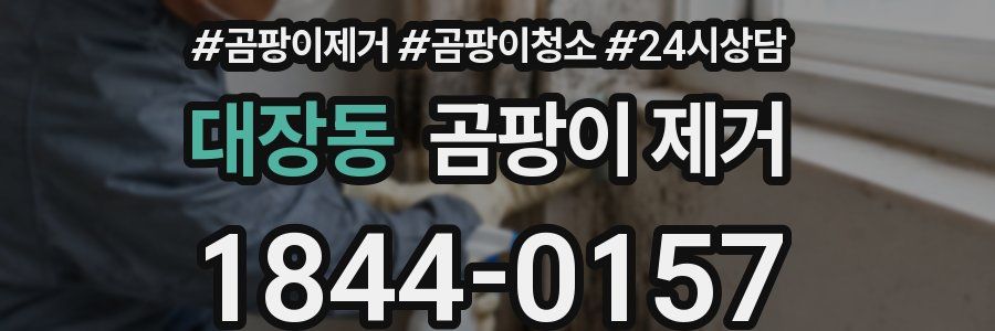 대장동 곰팡이 제거