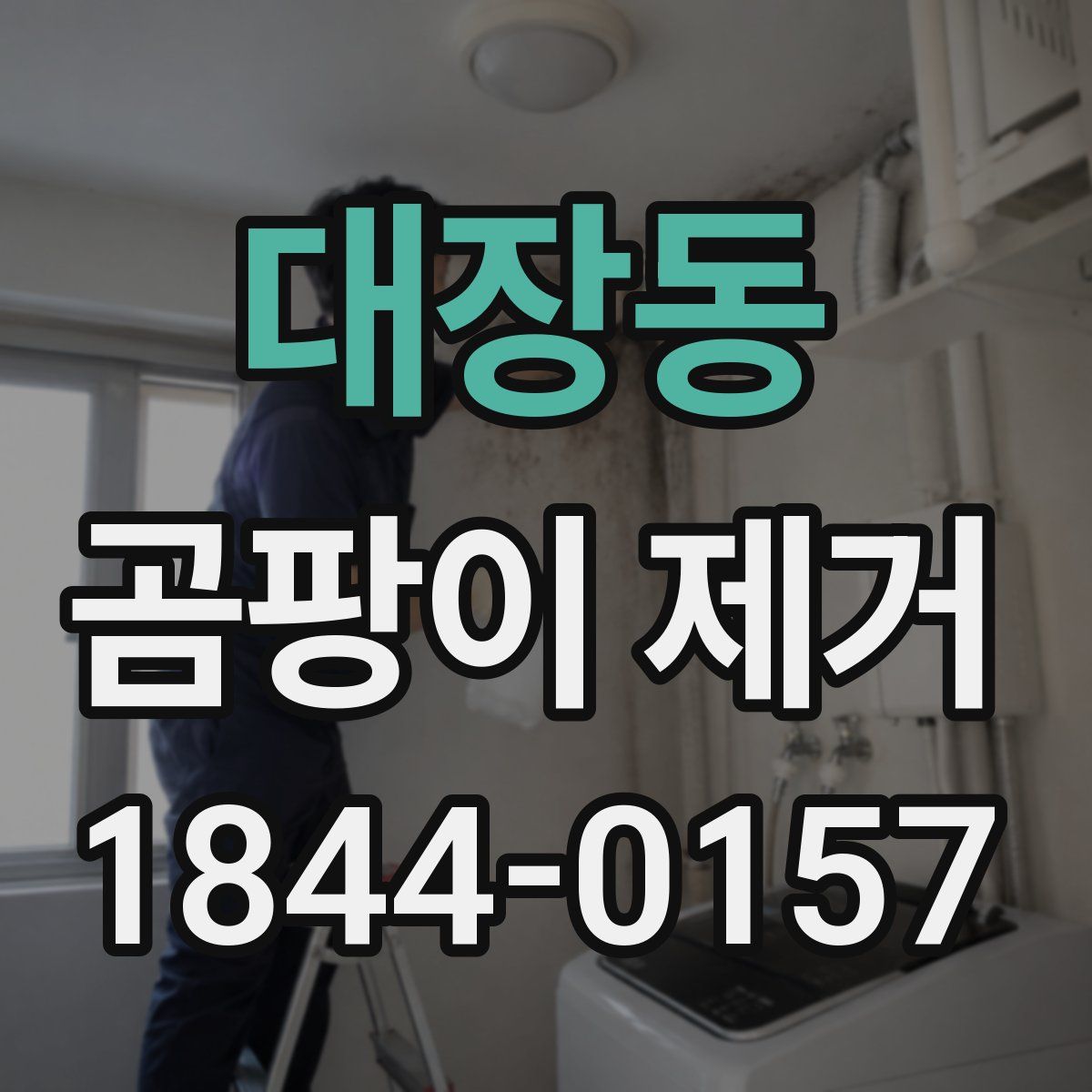 대장동 곰팡이 제거