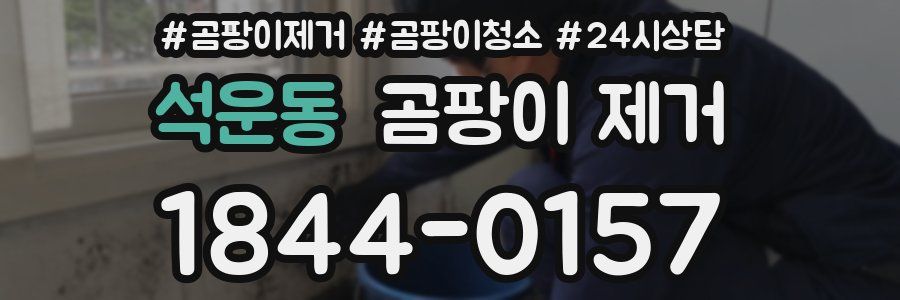 석운동 곰팡이 제거
