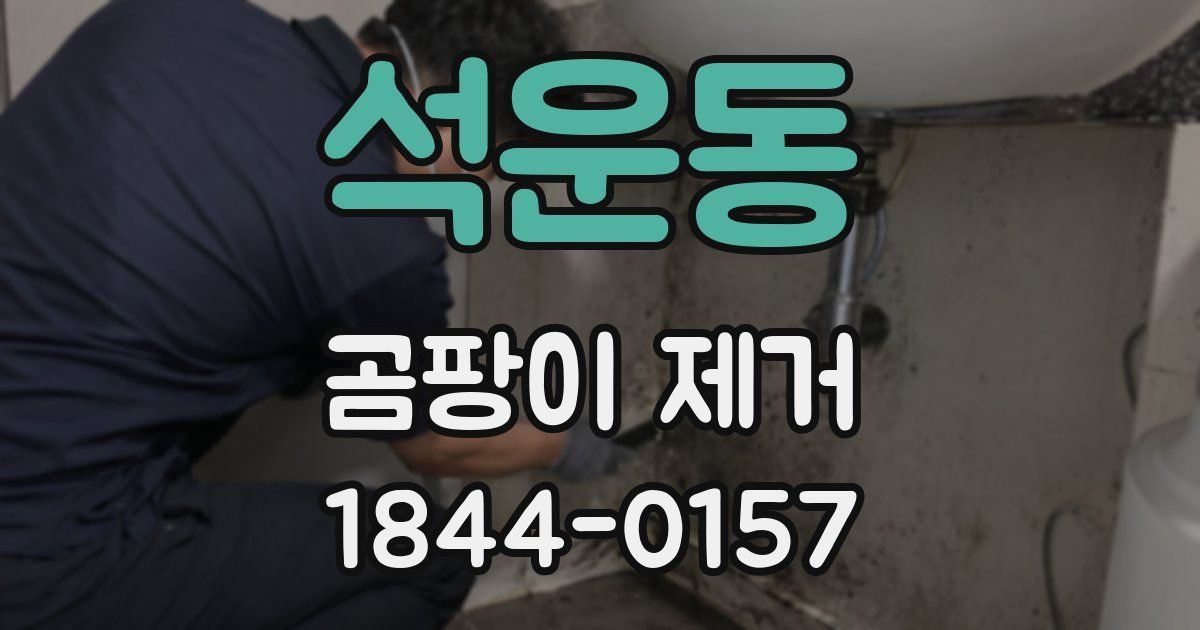 석운동 곰팡이 제거
