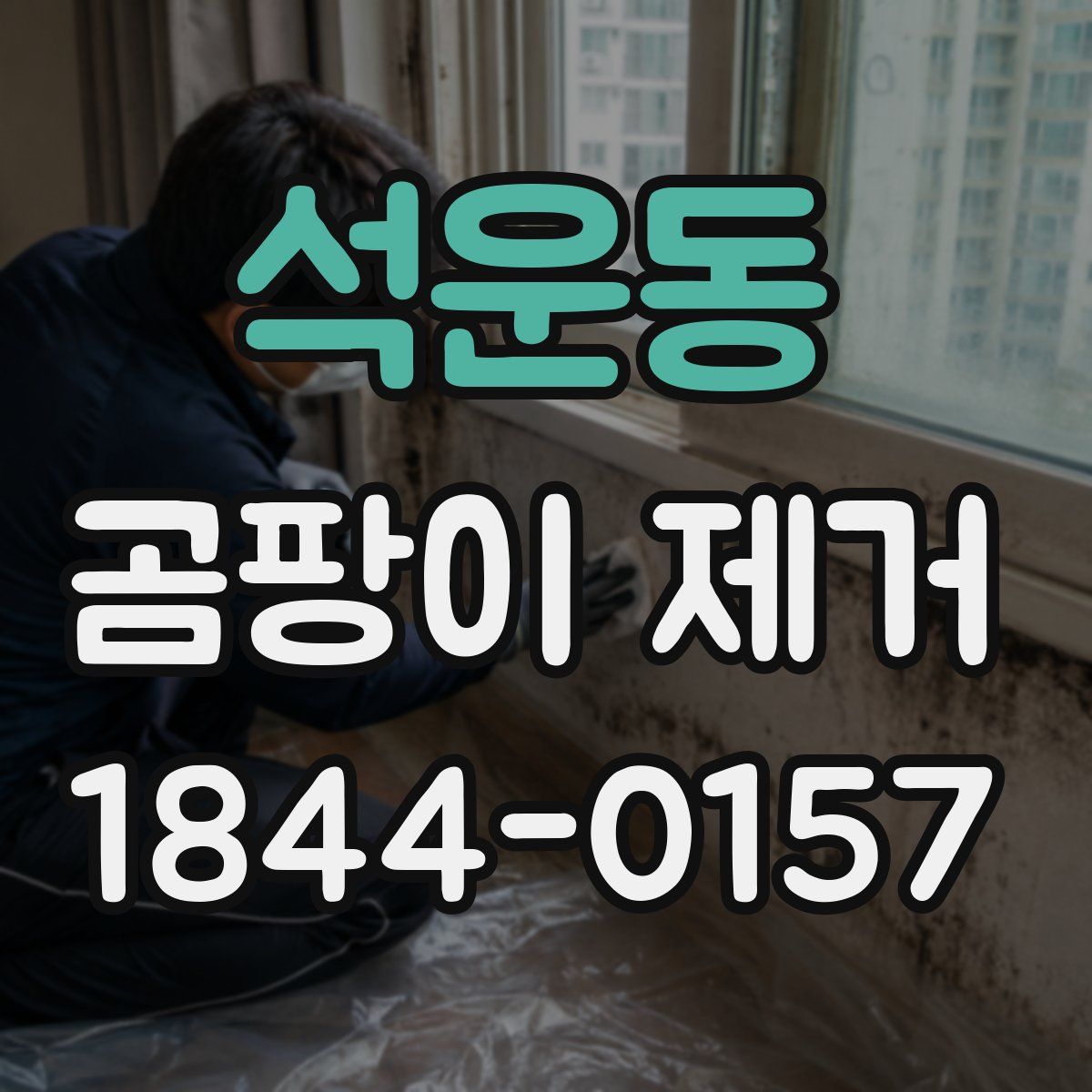 석운동 곰팡이 제거