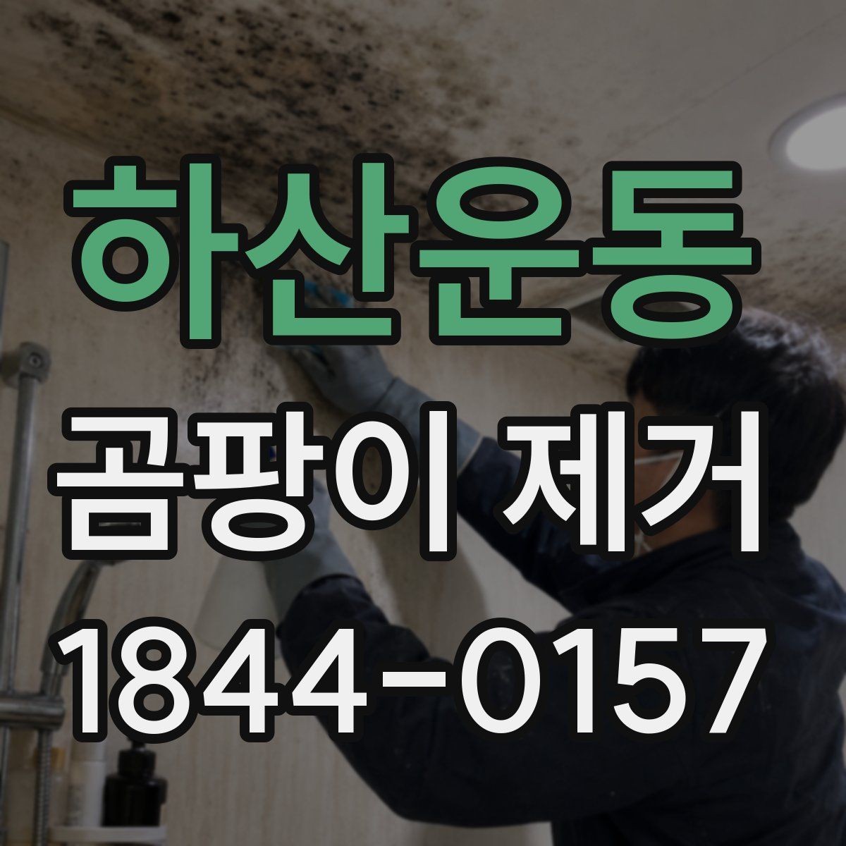 하산운동 곰팡이 제거 습도 높아질 때 나타나는 초기 신호