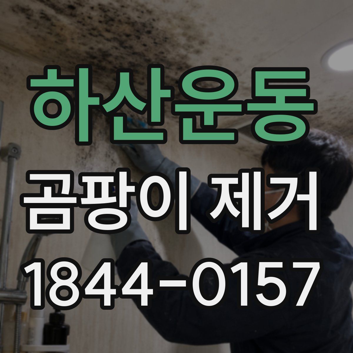 하산운동 곰팡이 제거