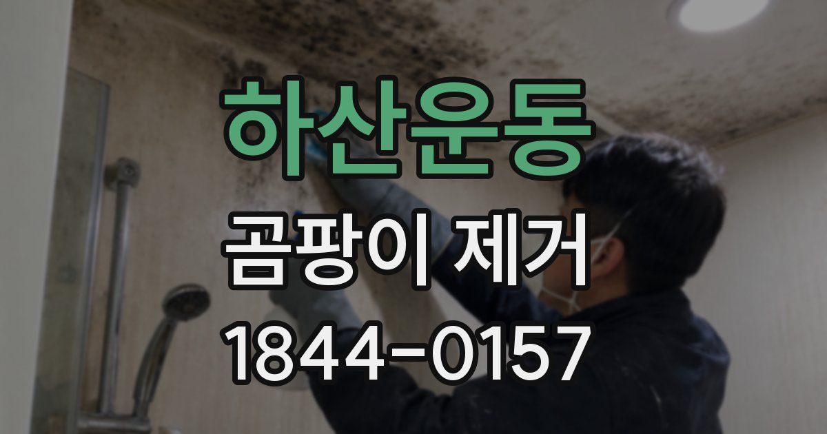 하산운동 곰팡이 제거