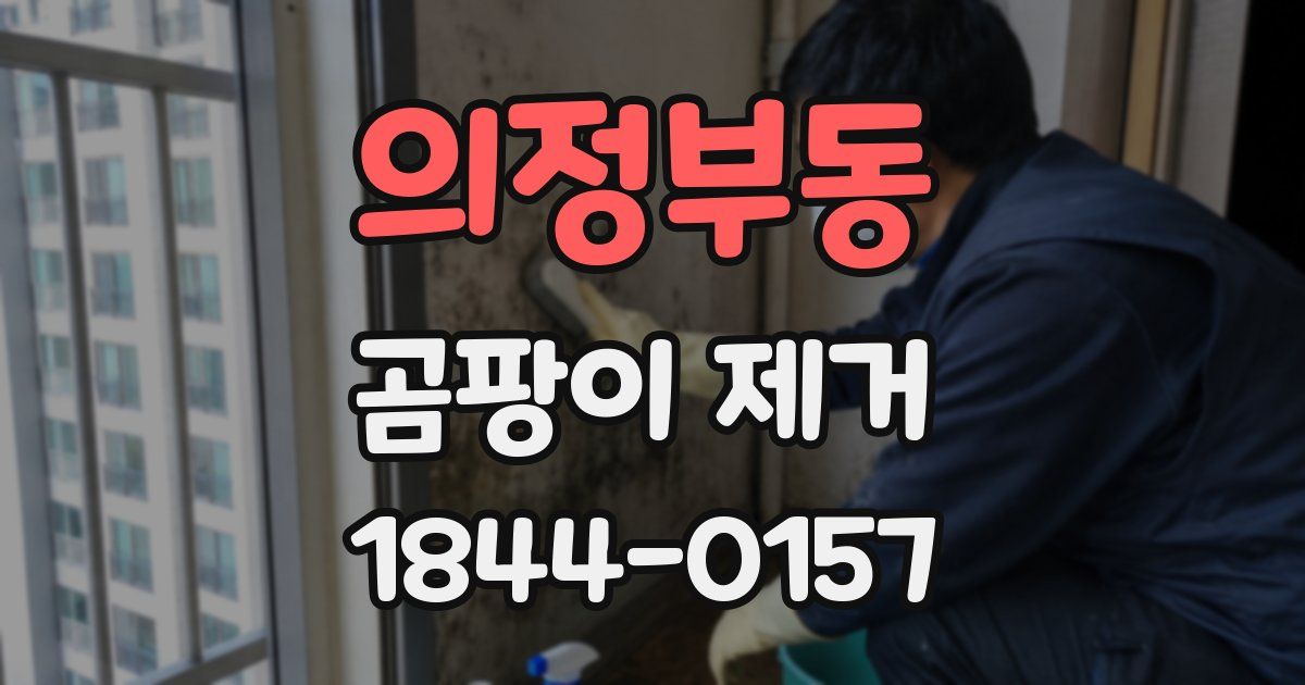 의정부동 곰팡이 제거