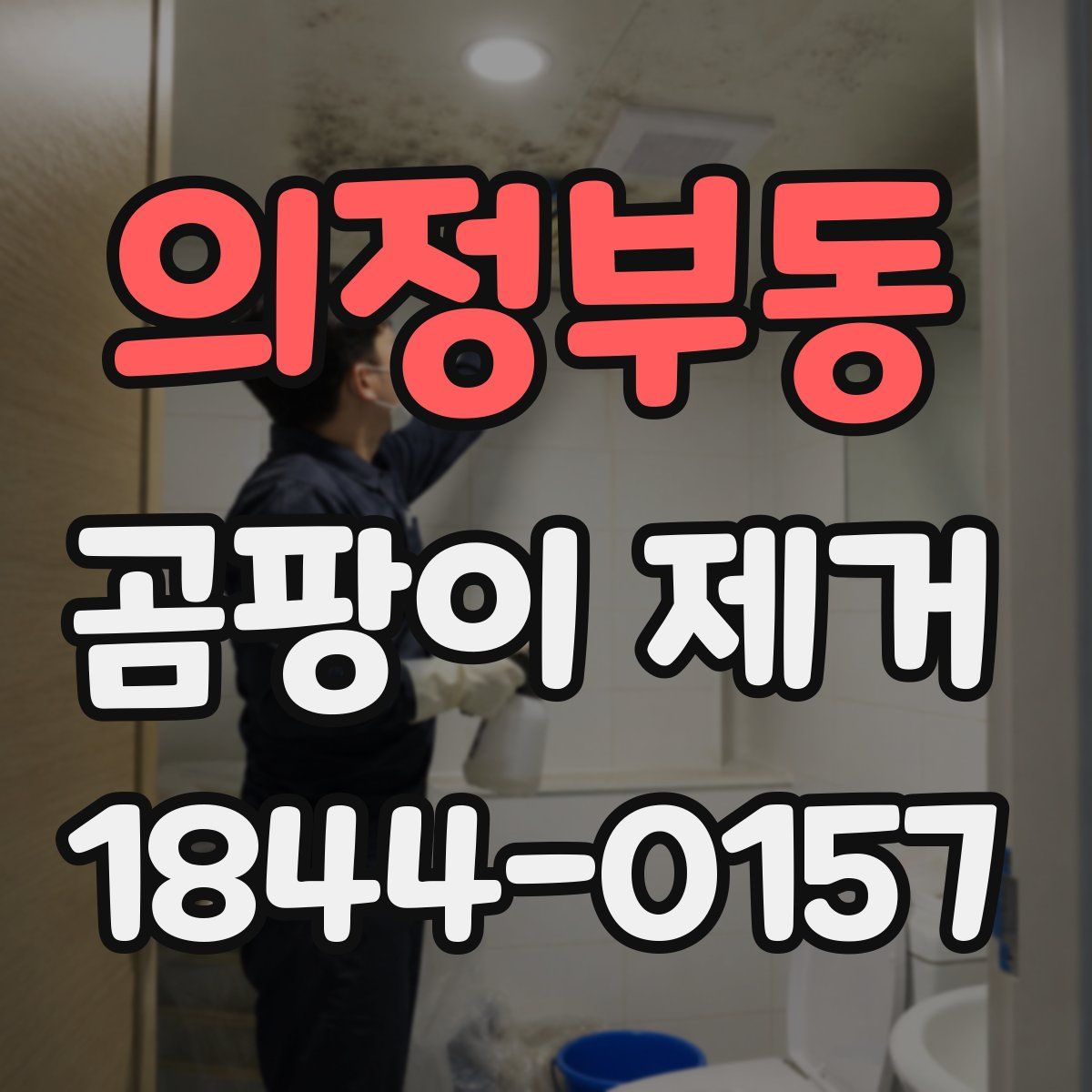의정부동 곰팡이 제거