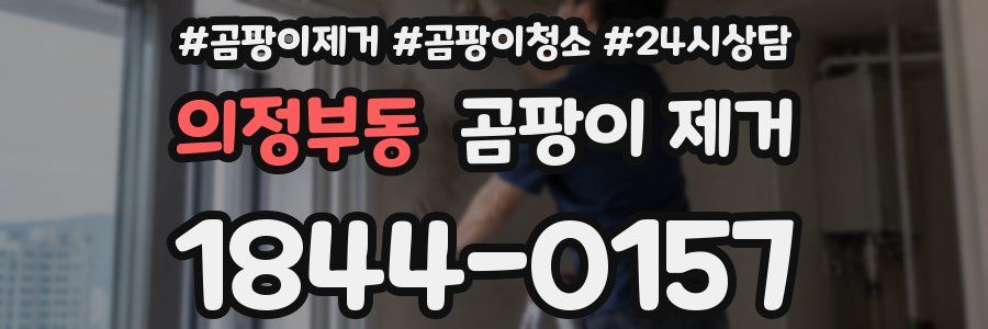 의정부동 곰팡이 제거