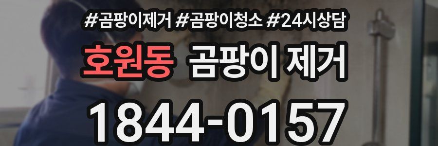 호원동 곰팡이 제거