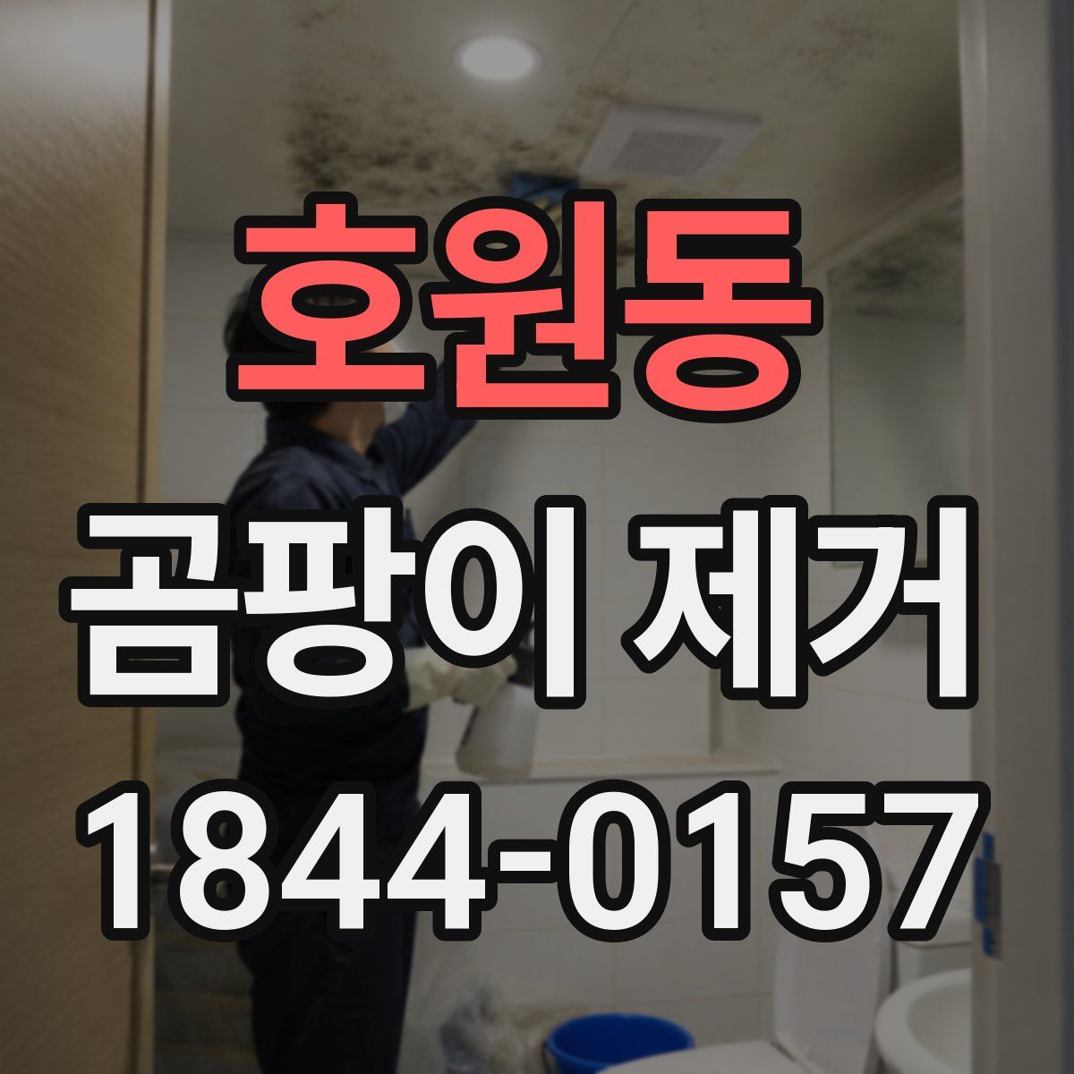 호원동 곰팡이 제거