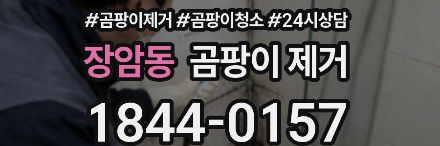 장암동 곰팡이 제거