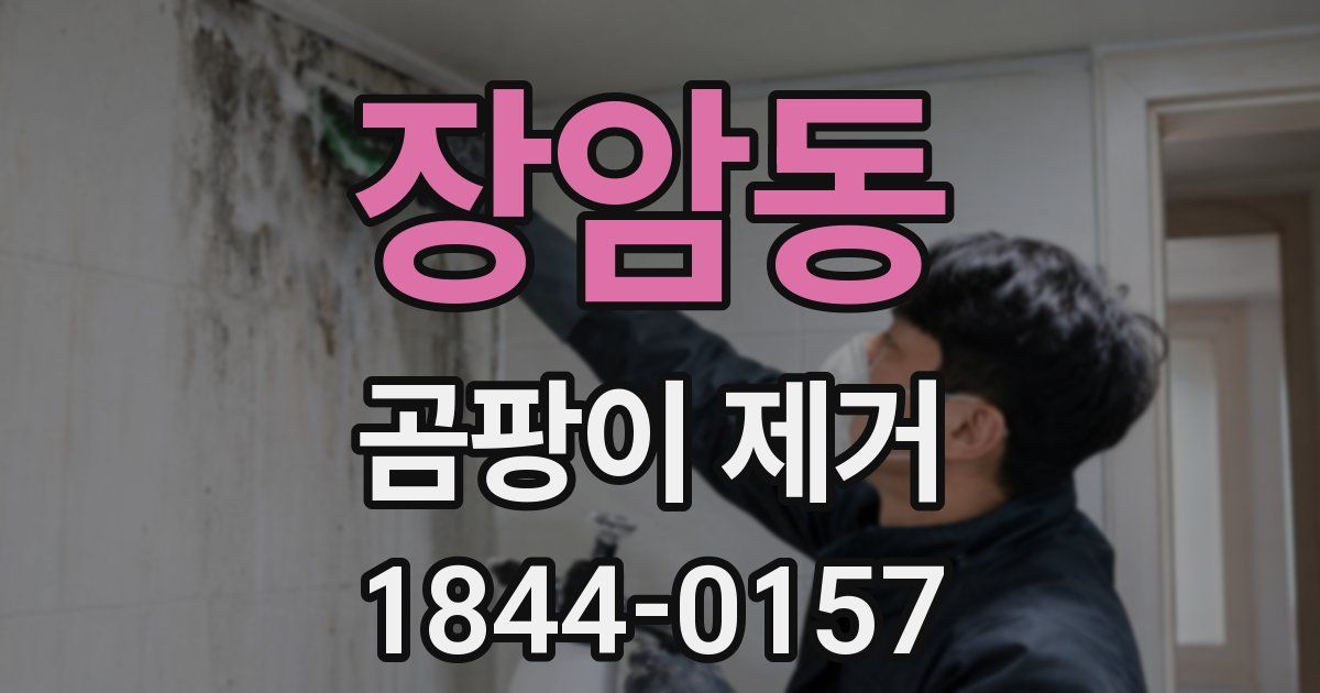 장암동 곰팡이 제거